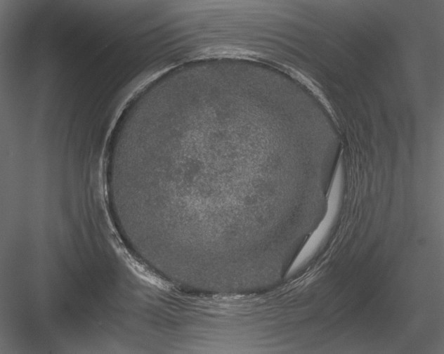 X0000084030987200702232253