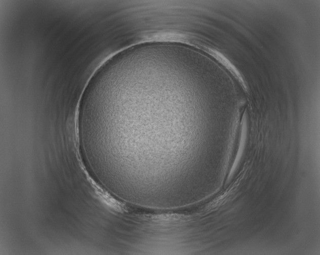 X0000084030988200702232253