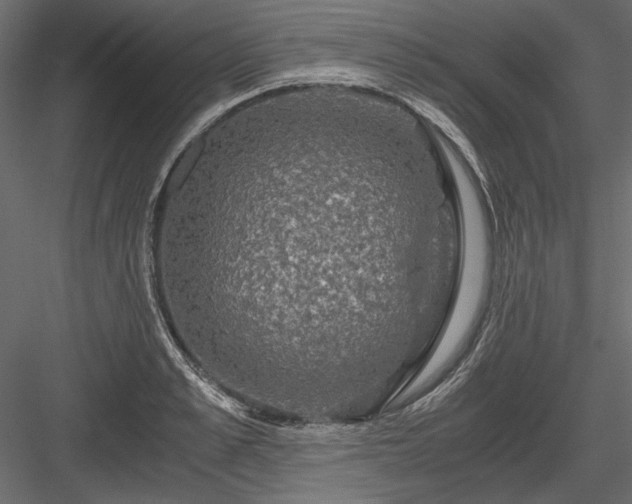 X0000084030989200702232253