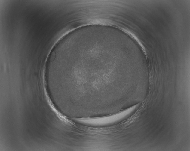 X0000084030991200702232253