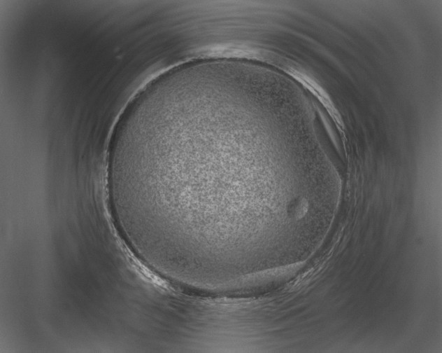 X0000084030992200702232253