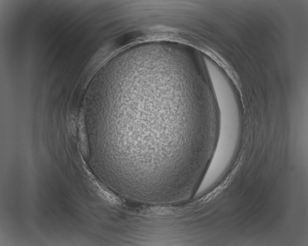 X0000084030993200702232253