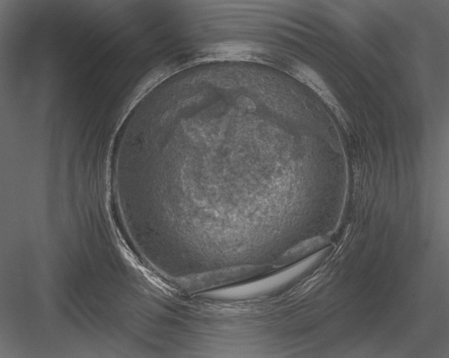 X0000084030994200702232253