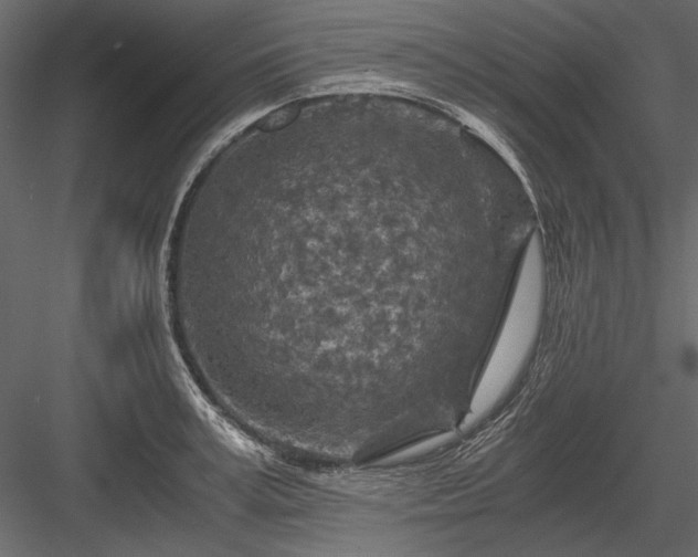 X0000084030995200702232253