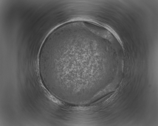 X0000084030996200702232253