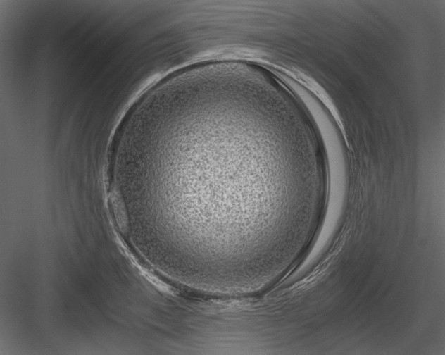 X0000084030997200702232253