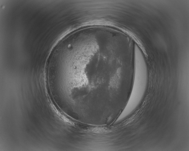 X0000084030998200702232253