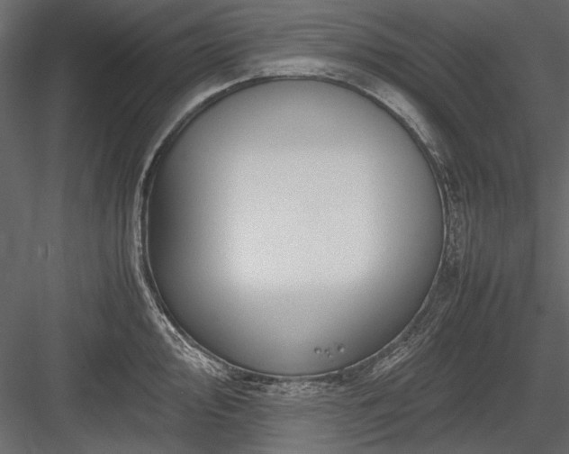 X0000084031000200702232253