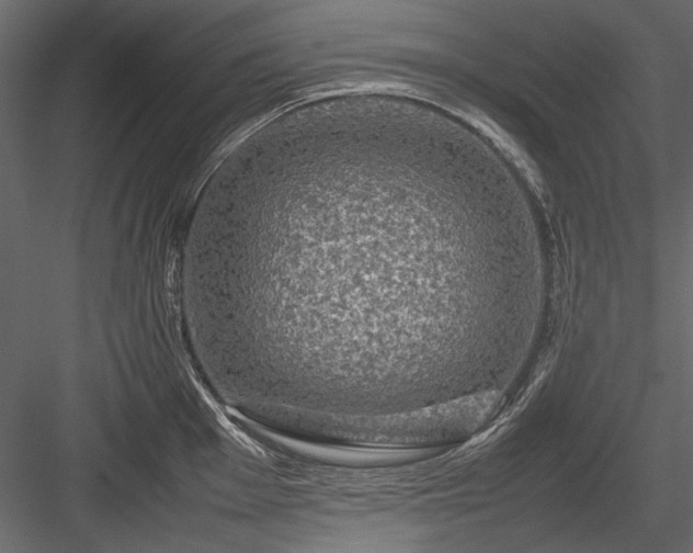 X0000084031001200702232253