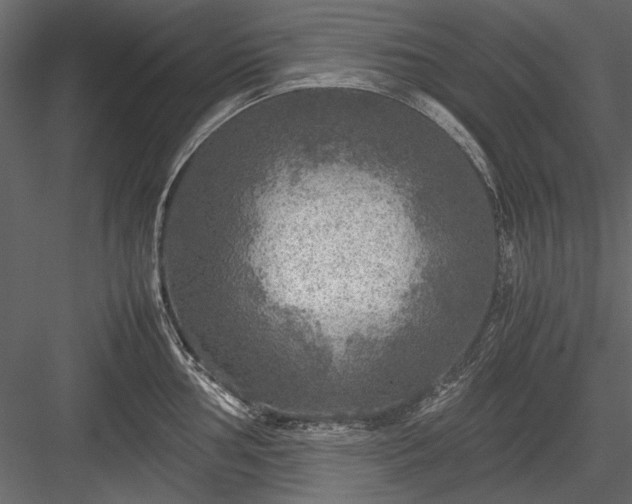 X0000084031002200702232253