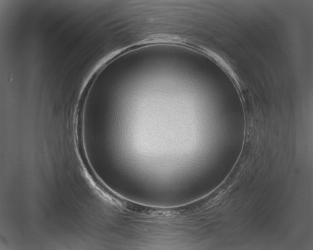 X0000084031003200702232253