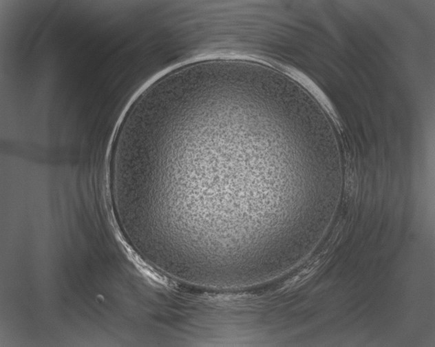 X0000084031004200702232253