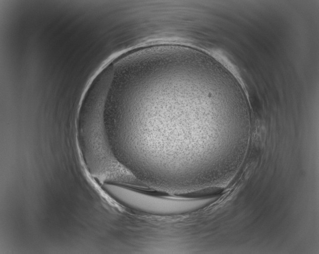 X0000084031005200702232253