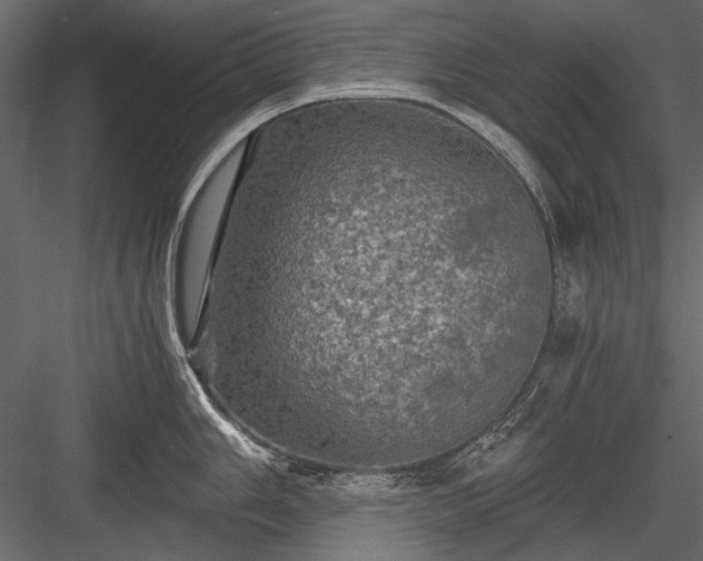 X0000084031006200702232253