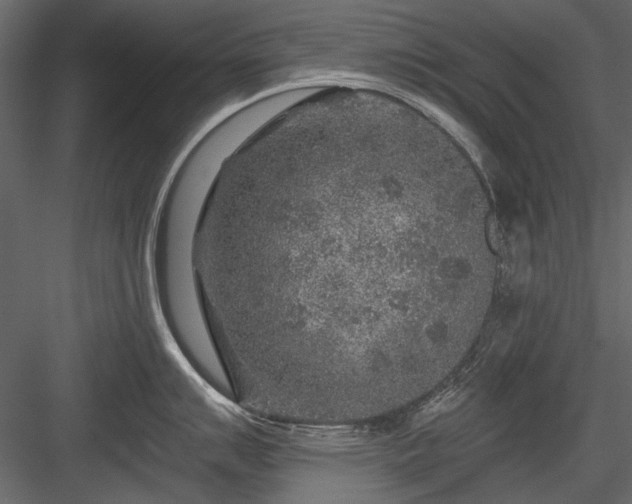 X0000084031007200702232253