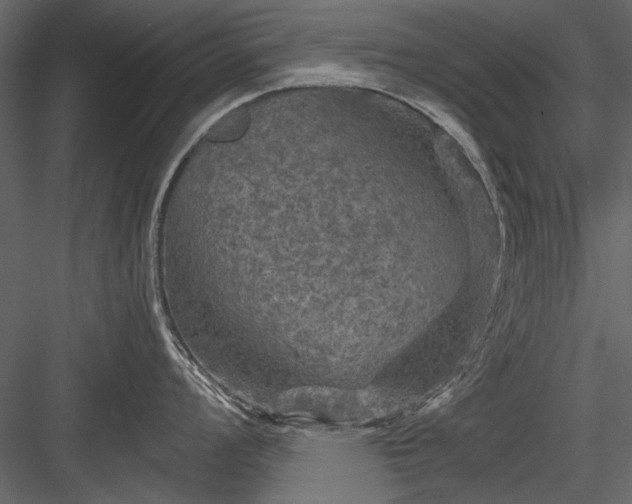 X0000084031008200702232253