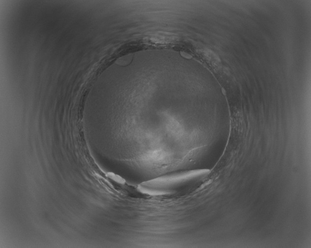 X0000084031009200702232252