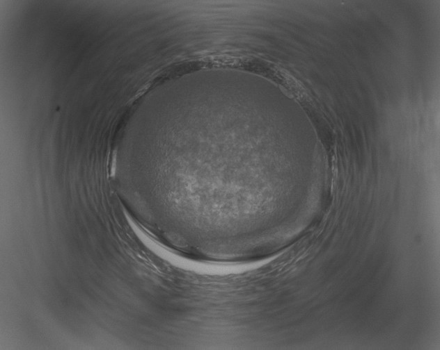 X0000084031010200702232252