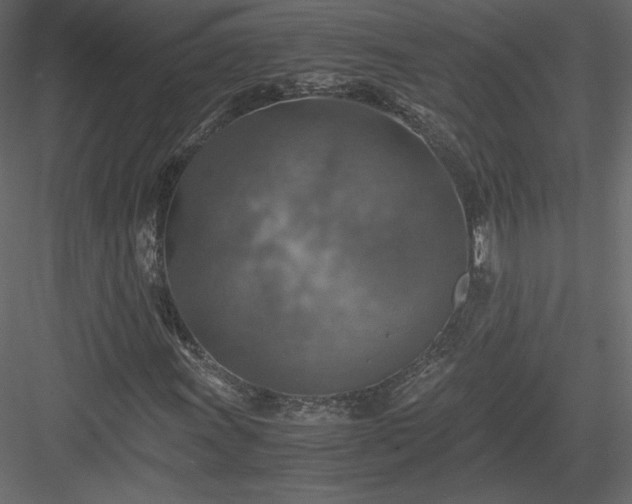 X0000084031011200702232252