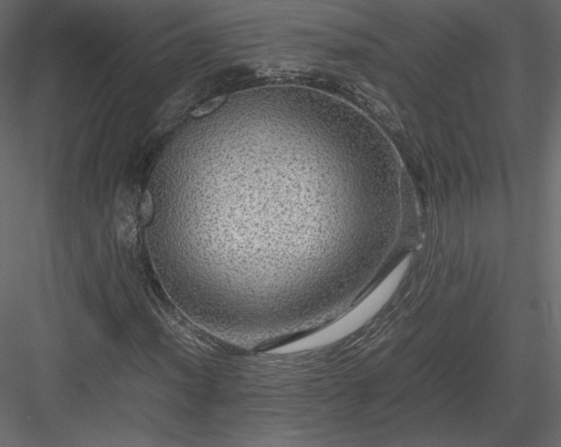 X0000084031012200702232252