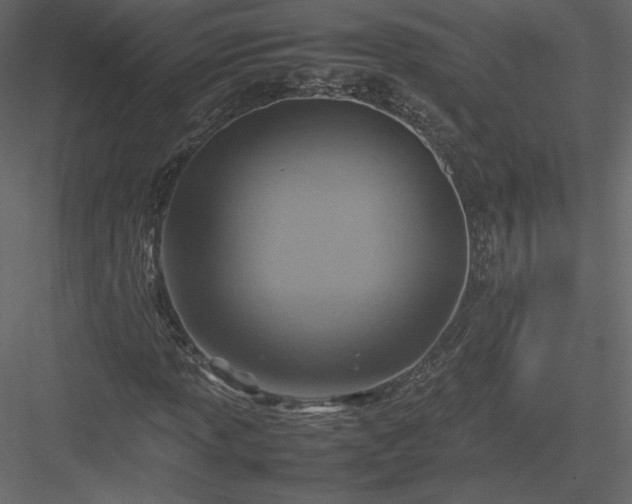 X0000084031013200702232252