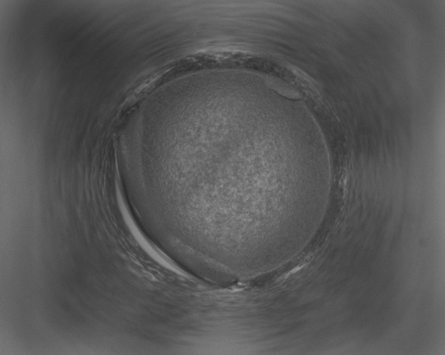 X0000084031014200702232252