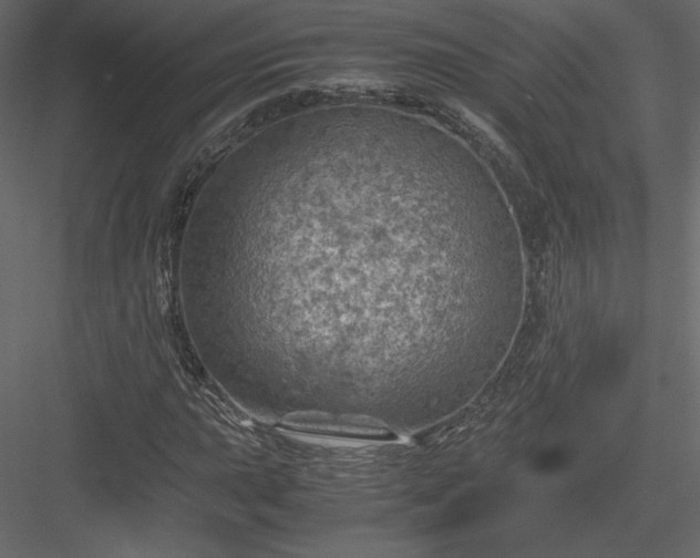 X0000084031015200702232252