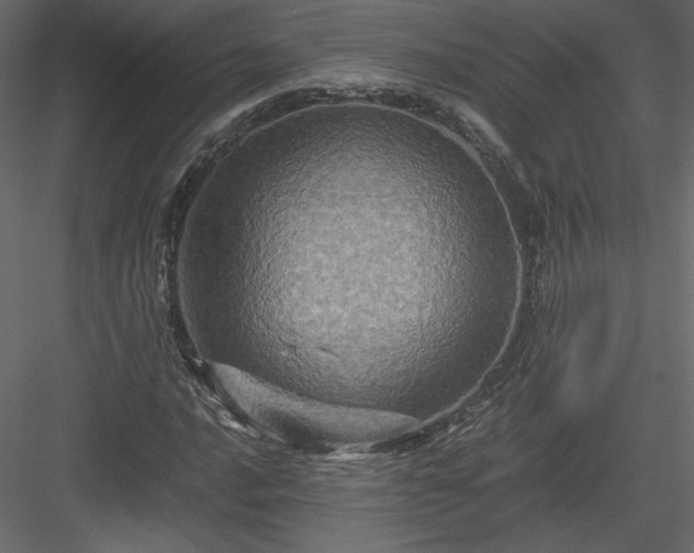 X0000084031016200702232252