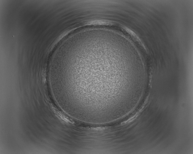 X0000084031017200702232252