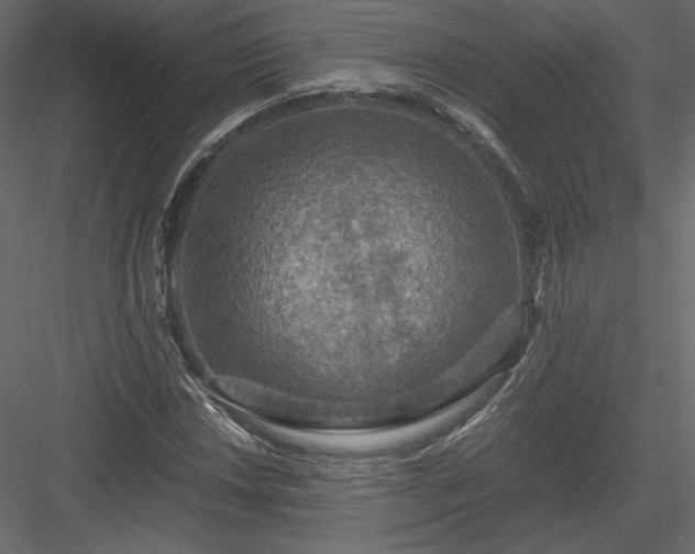 X0000084031018200702232252