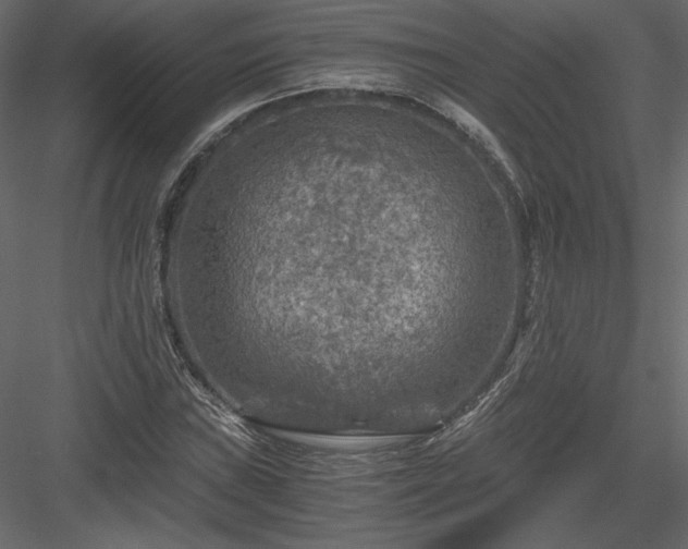 X0000084031019200702232252