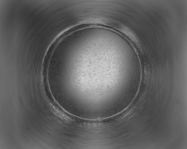 X0000084031020200702232252