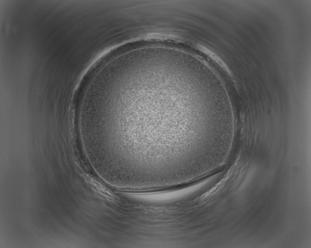 X0000084031021200702232252