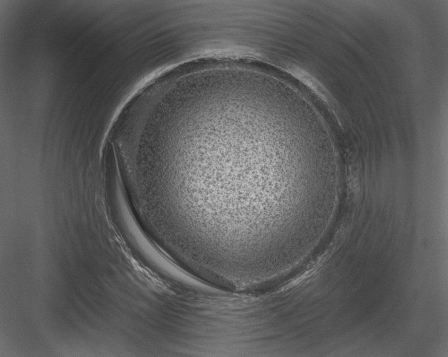 X0000084031022200702232253