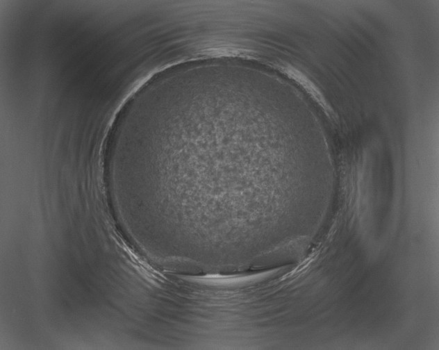 X0000084031023200702232253