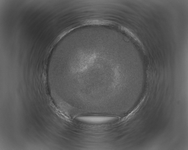 X0000084031025200702232253