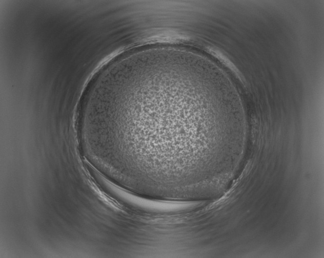 X0000084031026200702232253