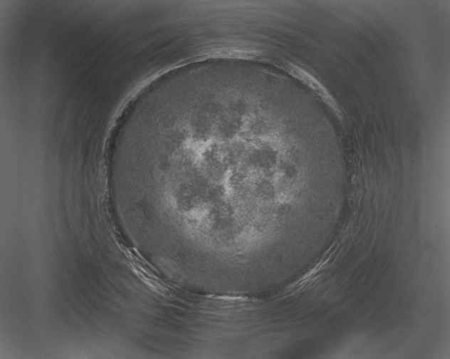 X0000084031027200702232253