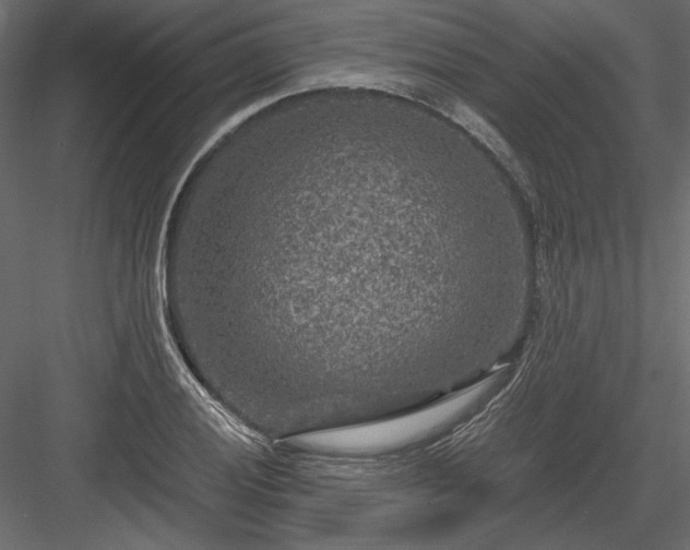 X0000084031028200702232253