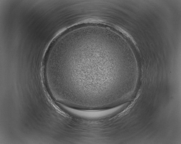 X0000084031029200702232253