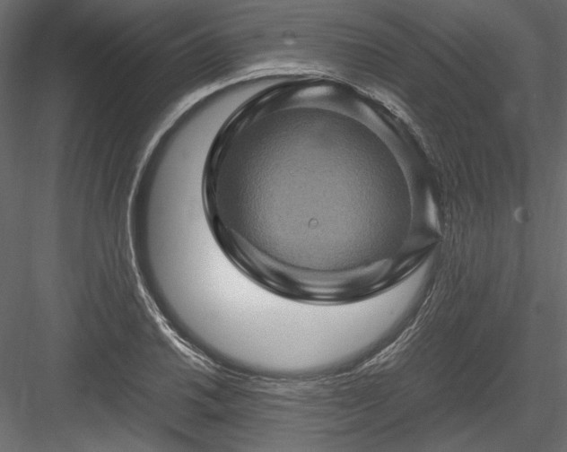 X0000084031030200702232253