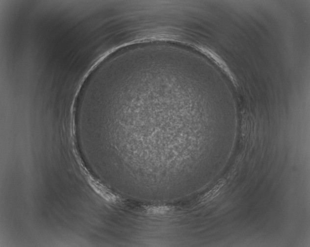 X0000084031031200702232253