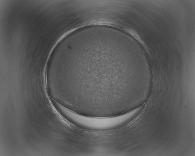 X0000084031032200702232253