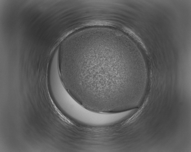 X0000084031033200702232253