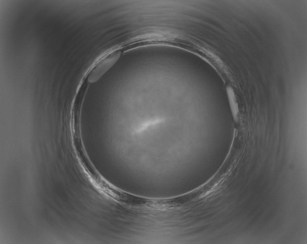 X0000084031034200702232253