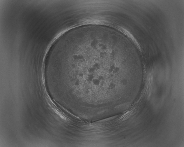 X0000084031035200702232253