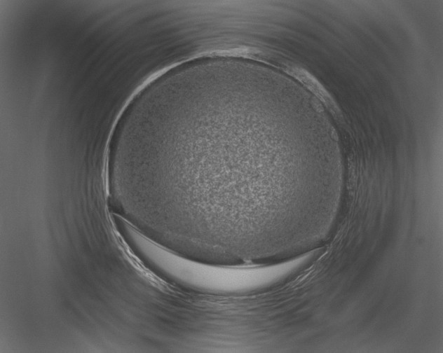 X0000084031036200702232253