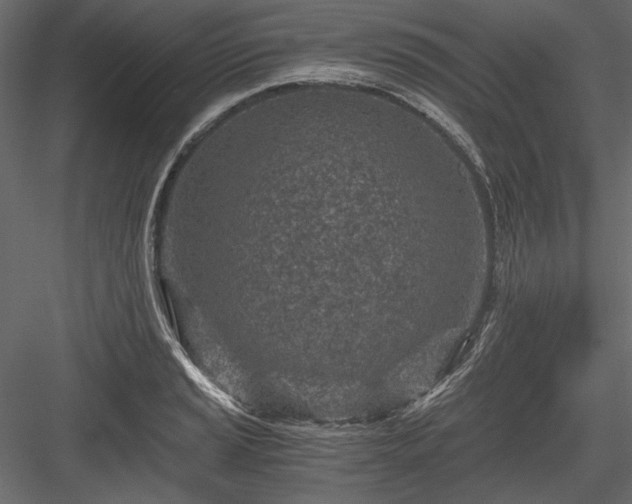 X0000084031037200702232253