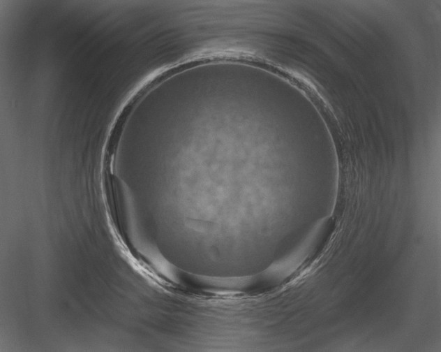 X0000084031038200702232253