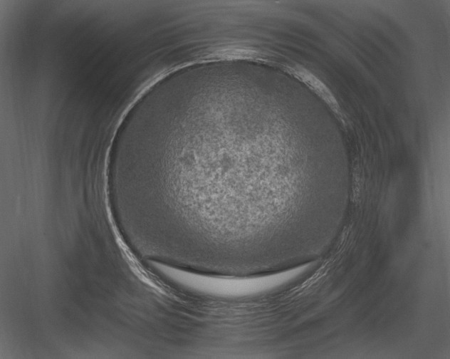 X0000084031039200702232253